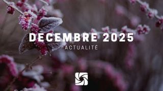 Décembre 2025